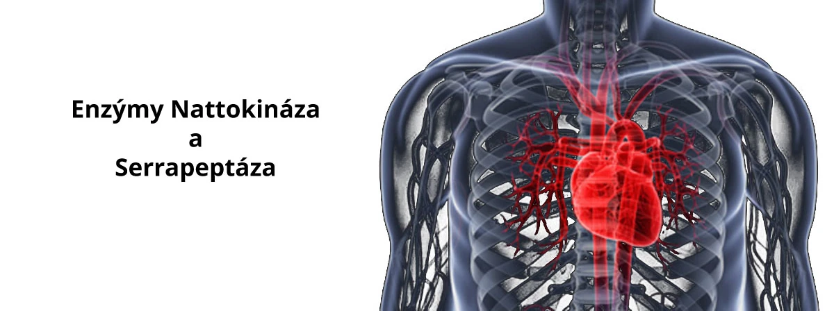 Serrapeptáza a nattokináza